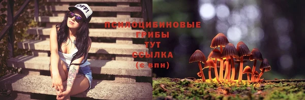 дмт Абаза