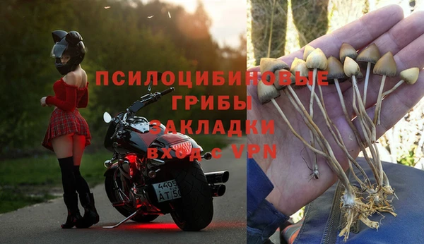марки nbome Алзамай