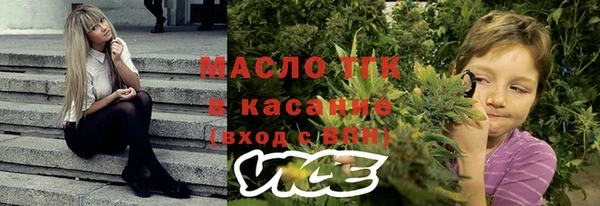 дмт Абаза