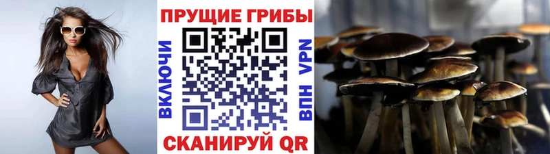 Псилоцибиновые грибы ЛСД  Углегорск 